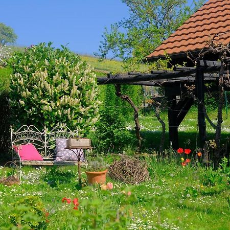 Ferienweingut Wissing Wohnung Theo Gleiszellen-Gleishorbach Kültér fotó